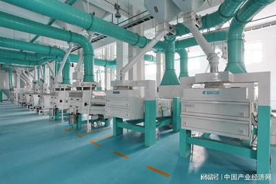 十月稻田稻花香米 性價比卓越的消費者品質之選與旅客票務代理的搭配